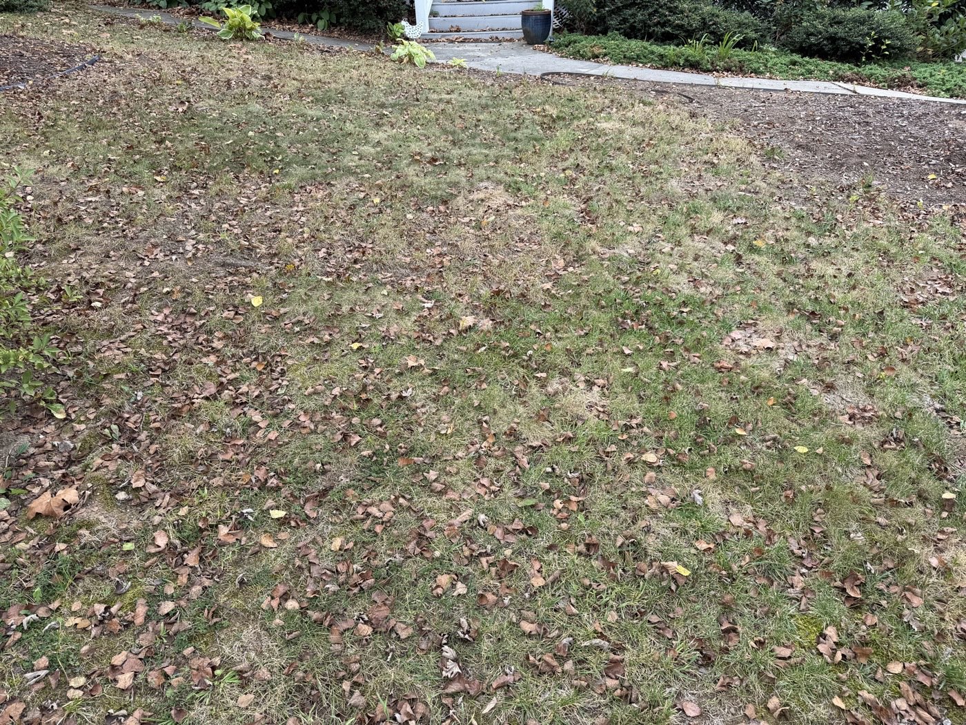 The front of the house showing a thin, patchy lawn with bare and sparse areas.
